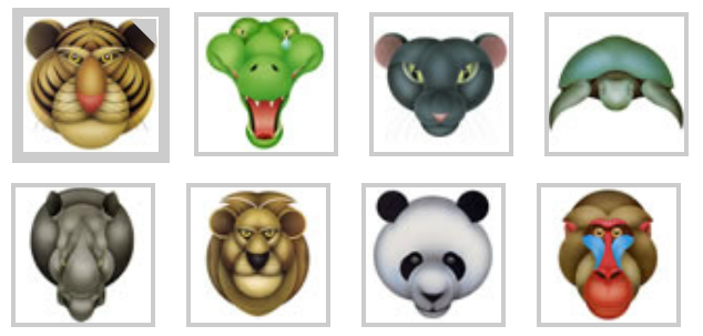 animaux compasses