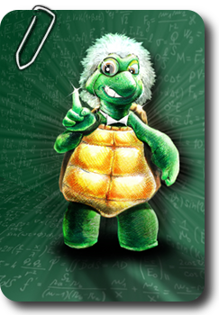 tortue